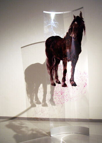pleksimaalaus pleksi taide taiteilija polykarbonaatti Hentunen hevonen