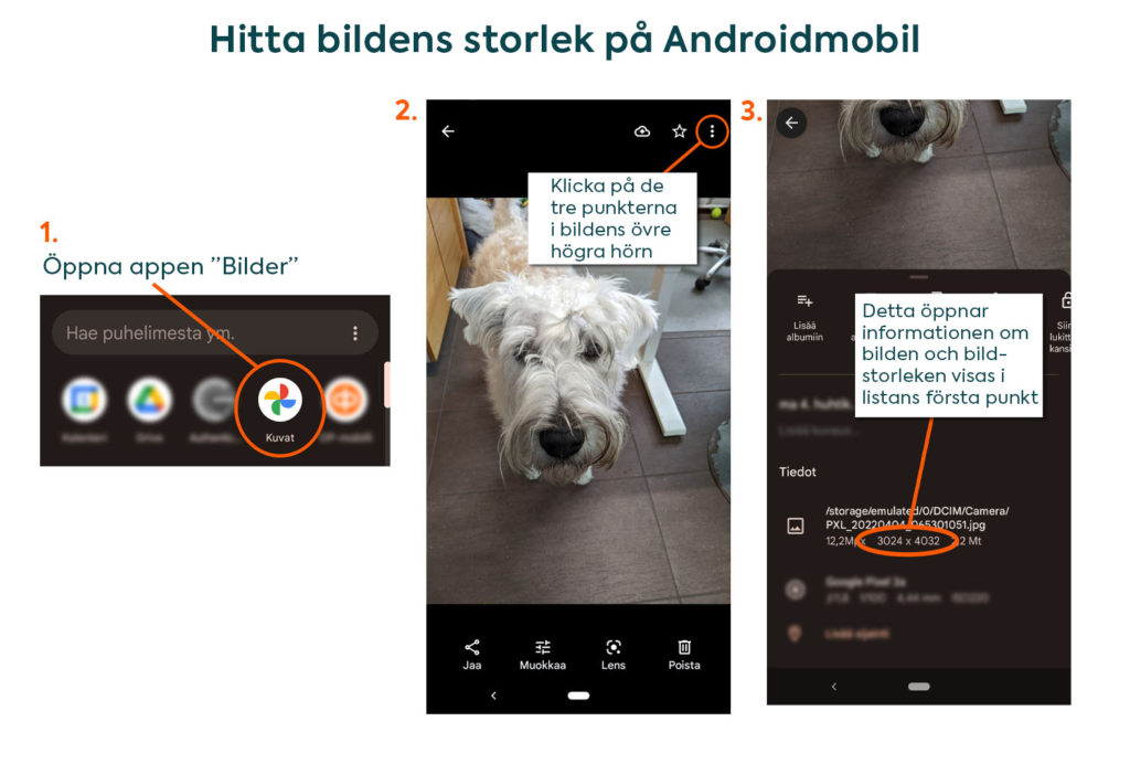 Hitta bildens storlek på Androidmobil